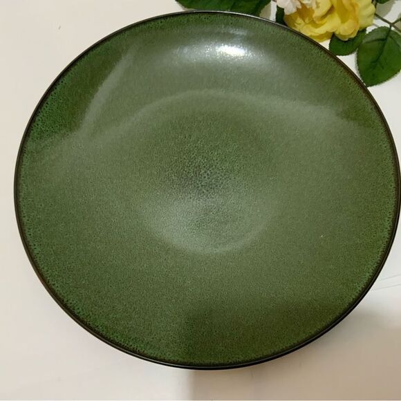 Fusion Wasabi by Gabbay Stoneware Dinner Plates 11.5 inches G6 - Picture 1 of 10